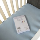 Dreambee Muggennet voor bed Essentials