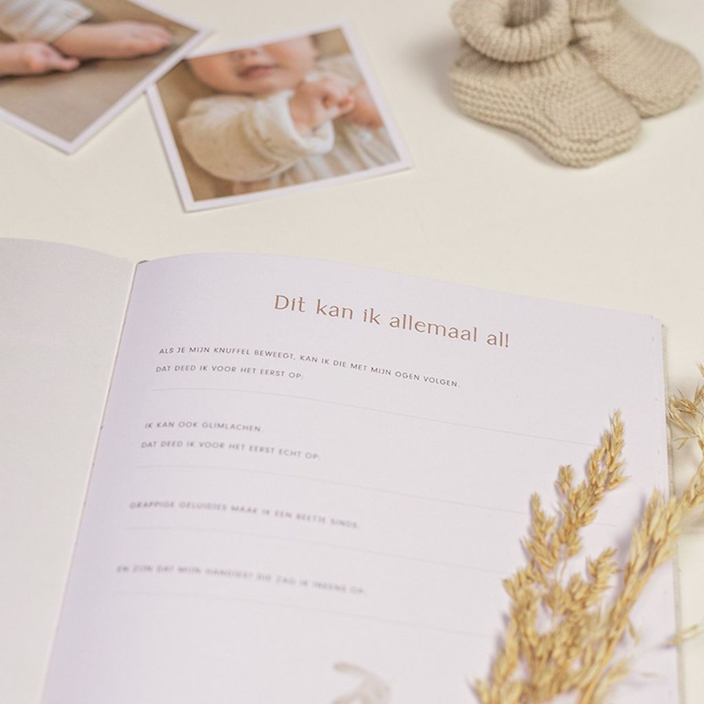 Little Dutch Babyboek Baby Bunny 'Mijn eerste jaar' NL 
