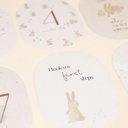 Little Dutch Baby Cards Baby Bunny