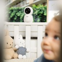 Alecto Beeldbabyfoon DVM2050
