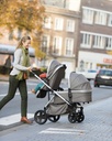 Pericles Zitje voor wandelwagen 1GO2 Tweed