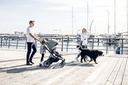 Thule 3-in-1 Wandelwagen Sleek Grey Melange On Black
