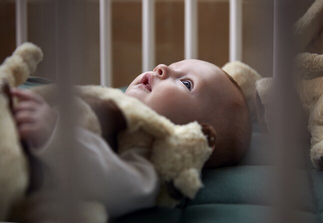Dreambee Doudou Flo strepen ecru
