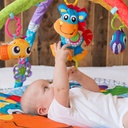 Playgro Speeltapijt Clip Clop Activity Gym with Music