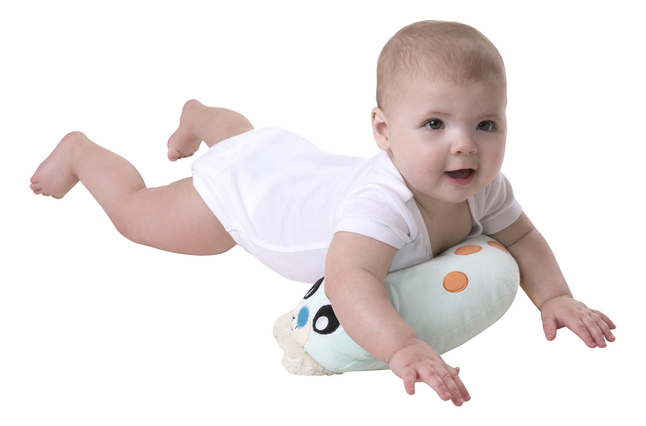 Playgro Speeltapijt Snuggle Me Penguin Tummy Time Gym