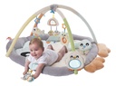 Playgro Speeltapijt Snuggle Me Penguin Tummy Time Gym