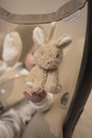 Little Dutch Wagenspanner Baby Bunny