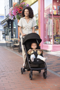 Joie Buggy Pact Pro Shale