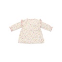 Little Dutch Robe Fairy Garden