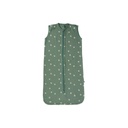 Dreambee Zomerslaapzak Flo tetra 70 cm groen