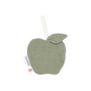 Little Dutch Fopspeendoekje Little Farm appel