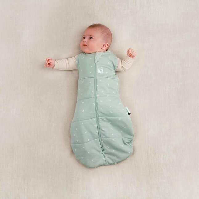 Ergopouch Sac d'emmaillotage/Sac de couchage Berries Sage 0-3 mois