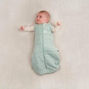 Ergopouch Sac d'emmaillotage/Sac de couchage Berries Sage 0-3 mois