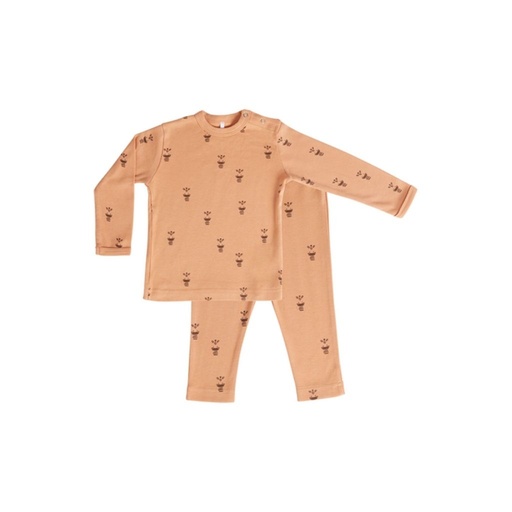 Dreambee 2-delige pyjama Flo terracotta